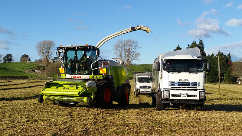 Grass cut 2017 at Brookvale